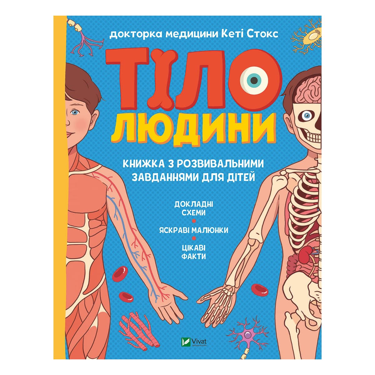 

К. Стокс Vivat Тіло людини Книжка з розвивальними завдання для дітей 64 с (укр) ТМ: Vivat
