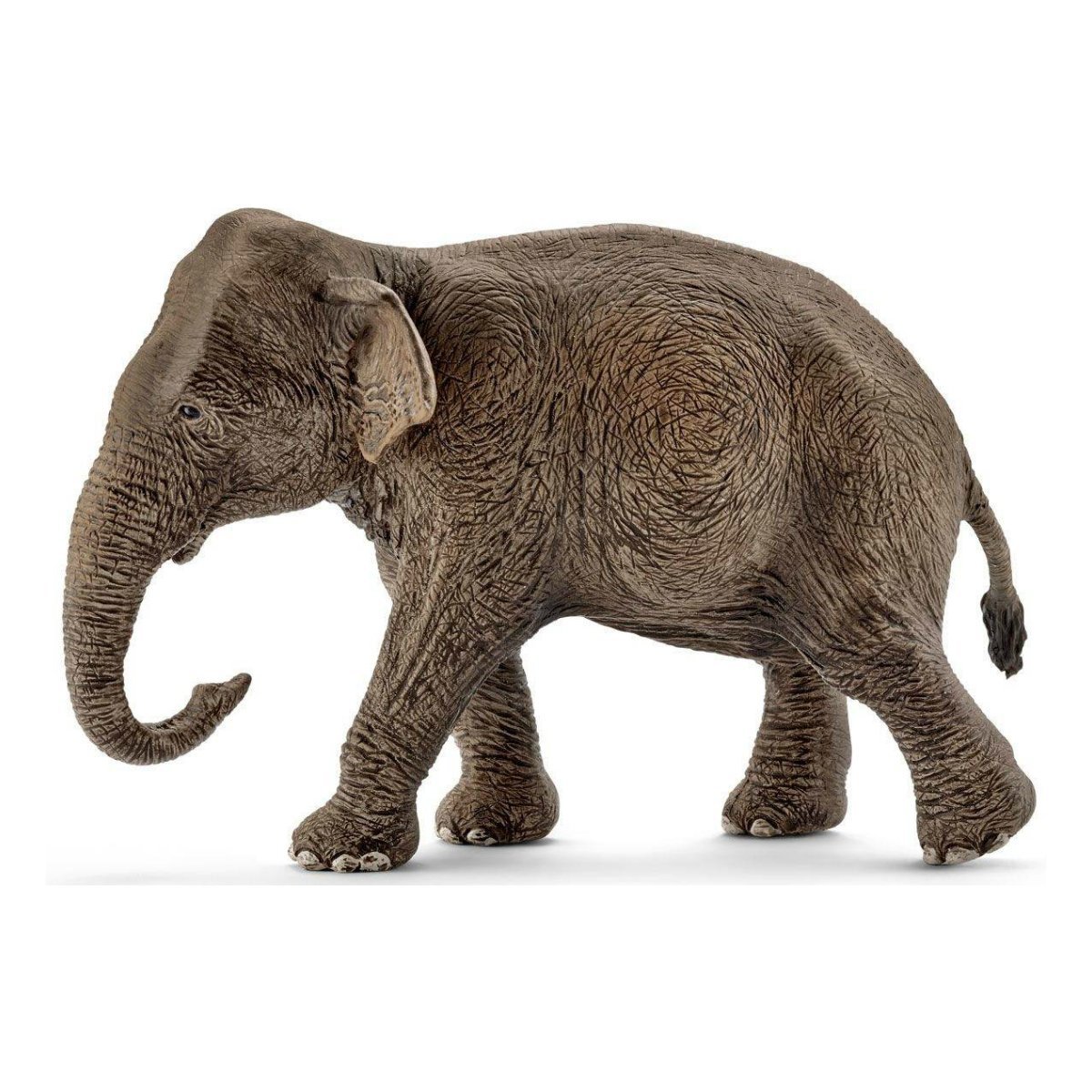 

Фигурка Азиатской слонихи Schleich 14753 ТМ: Schleich, 14753