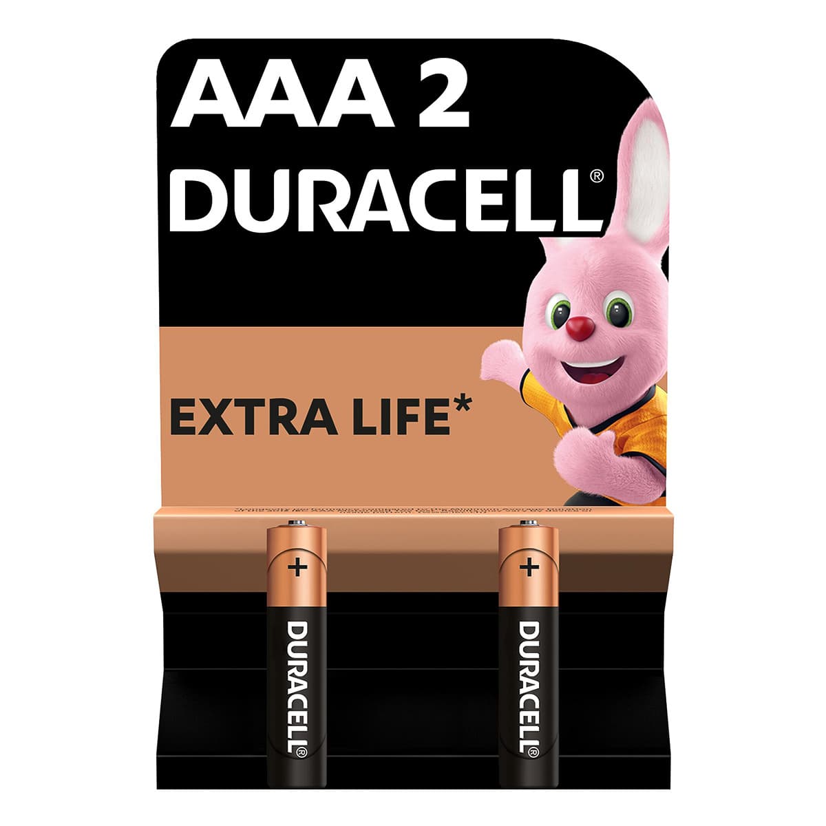 

Батарейки щелочные Duracell Professional AAA 1.5V LR03/MN2400 2 шт ТМ: Duracell