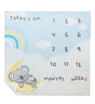 Одеяло BluKids Weeks 67х77