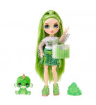 Набор Rainbow High Classic Jade