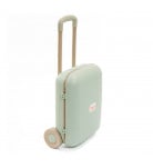 Детский чемодан Doloni Eco-Plastic 01520/01