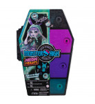 Набор-сюрприз Monster High Twyla