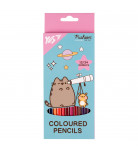 Набор цветных двухсторонних карандашей Yes Pusheen Cheek 12 шт