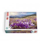 Пазл DGT-Puzzle Карпатские крокусы 1000 эл