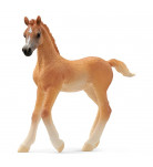 Фигурка Schleich Арабский жеребенок