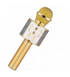 Микрофон Maya Toys HL-WS858M