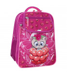 Рюкзак Bagland Отличник Raspberry 