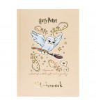 Школьный дневник Kite Harry Potter Beige