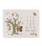 Коврик Ceba Baby Basic Koala 92x72