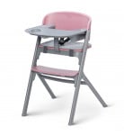 Стульчик для кормления Kinderkraft Livy Aster Pink