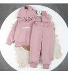 Костюм спортивный Flamingo 525-325 Powder