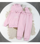 Костюм спортивный Flamingo 525-325 Pink
