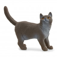 Фигурка Schleich Британская короткошерстная кошка