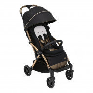 Прогулочная коляска Chicco Goody Primo 87069.72