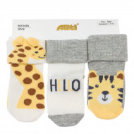 Набор носков Arti Hello Tiger 3 шт