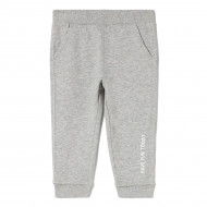 Брюки BluKids Grey Fun