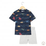 Комплект BluKids Bio Cotton Футболка Шорты Dino