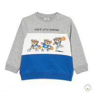 Свитшот утепленный BluKids Bio Cotton Champions