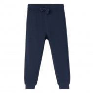 Штаны BluKids Attivita Dark Blue