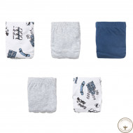 Набор трусов Blukids Bio Cotton 6235749, 5 шт