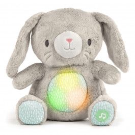 Мягкая музыкальная игрушка Ingenuity Heart to Hugs Sylvi