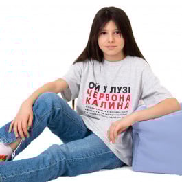 Футболка Mevis Червона Калина, р. 164