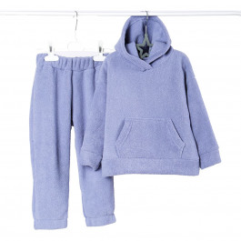 Спортивный костюм утепленный Flamingo 1000-909 Violet (122-140), р. 128