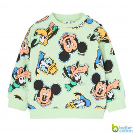 Свитшот BluKids Bio cotton 6242886, р. 74