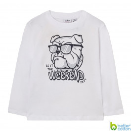 Джемпер Blukids Better Cotton 6248352, р. 116
