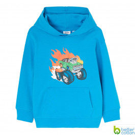 Худи BluKids Bio Cotton 6240139, р. 110