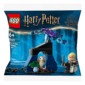 LEGO Harry Potter Драко у Забороненому лісі 30677