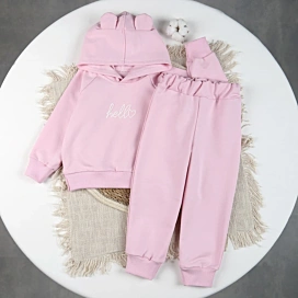 Костюм спортивний Flamingo 525-325 Pink