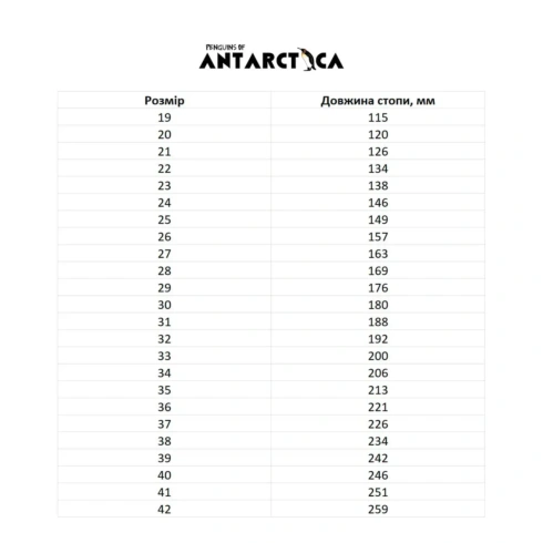 Чоботи Antarctica 296.E - 6