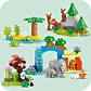 LEGO DUPLO Сімейства диких тварин 3-в-1 10446 - 5