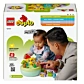 LEGO DUPLO Сортувальник фігур: будинок для цуценят 10441 - 10