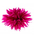 Заколка Бетис Aster Purple
