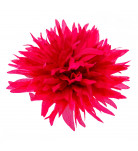 Заколка Бетис Aster Pink