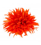 Заколка Бетис Aster Orange