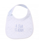 Слинявчик Flamingo A Star is born