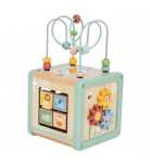 Розвиваюча іграшка Tookytoy Куб-сортер лабіринт