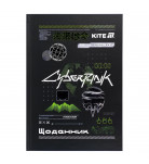 Шкільний щоденник Kite CyberRink