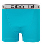 Труси-боксери Bibo Aqua