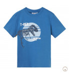 Футболка BluKids Organic Cotton T-Rex, р. 110