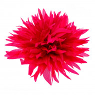 Заколка Бетис Aster Pink