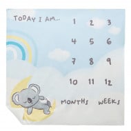 Ковдра BluKids Weeks 67х77