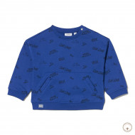 Джемпер утеплений BluKids Better Cotton Live Loud