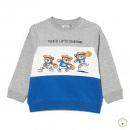 Світшот утеплений BluKids Bio Cotton Champions