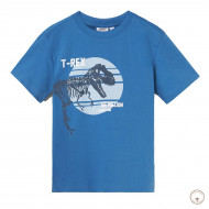 Футболка BluKids Organic Cotton T-Rex, р. 110