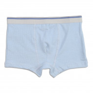 Труси-боксери Flamingo 318-416 Blue/Grey